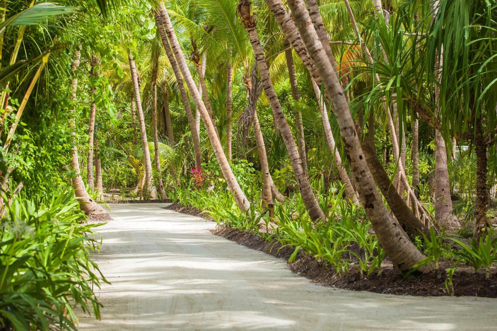 Dusit Thani Maldives Hotel Amilla Fushi Exterior photo