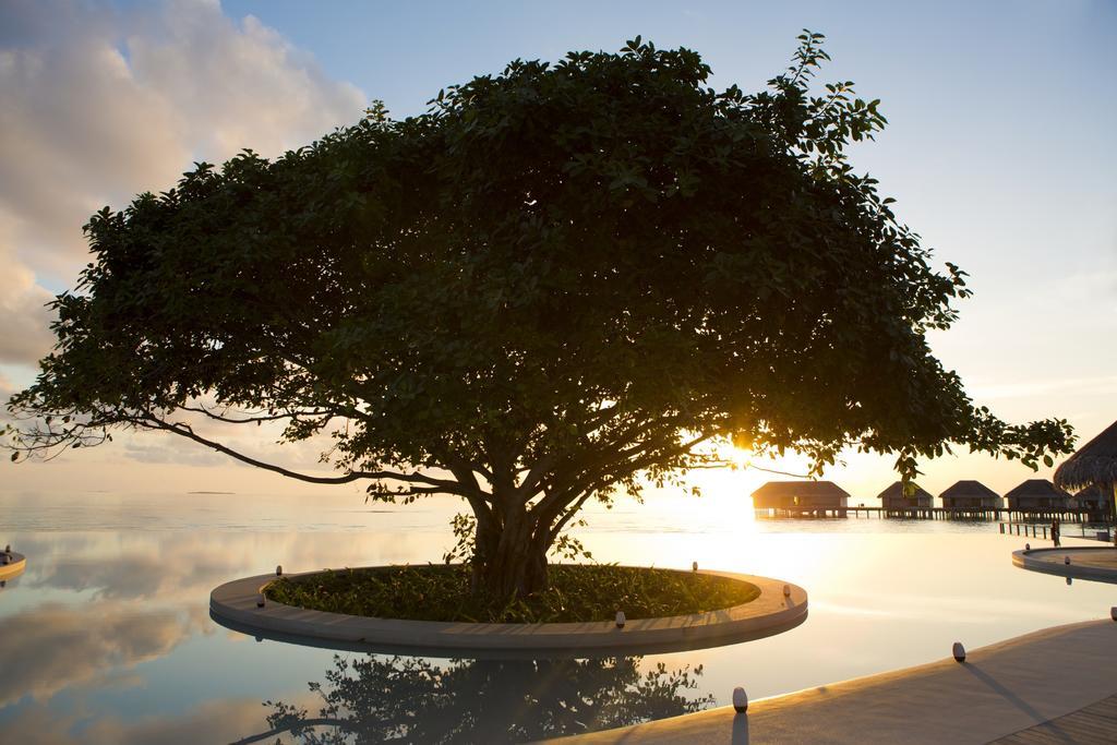 Dusit Thani Maldives Hotel Amilla Fushi Exterior photo