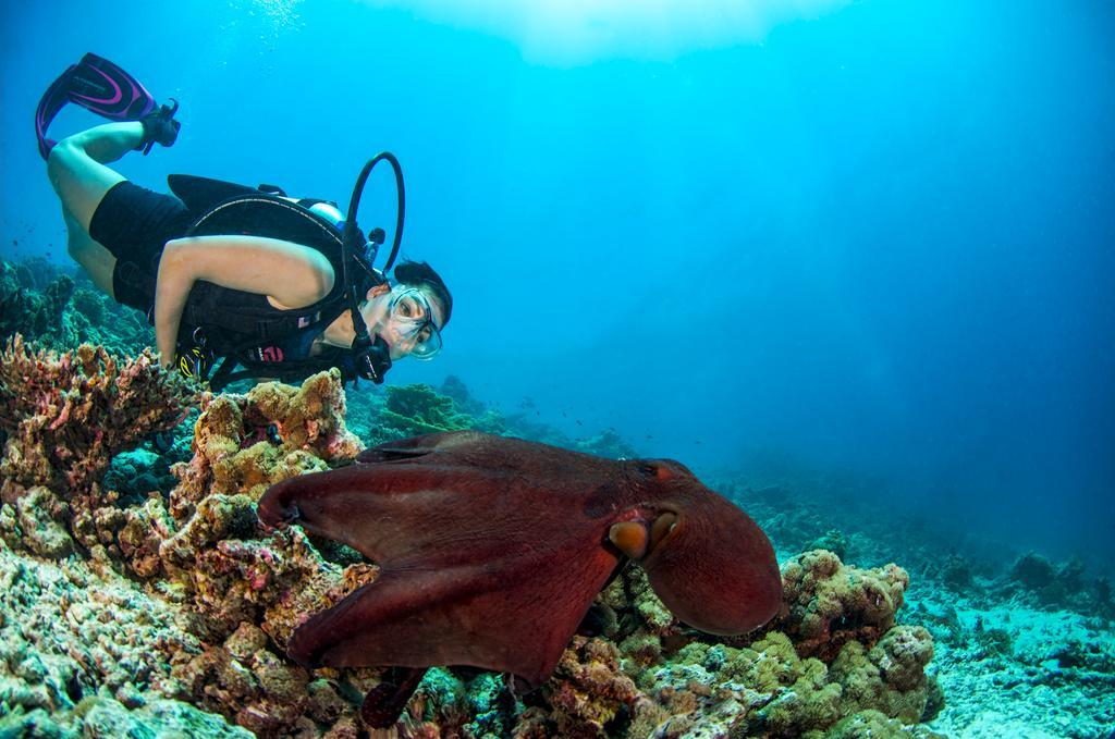 Dusit Thani Maldives Hotel Amilla Fushi Exterior photo