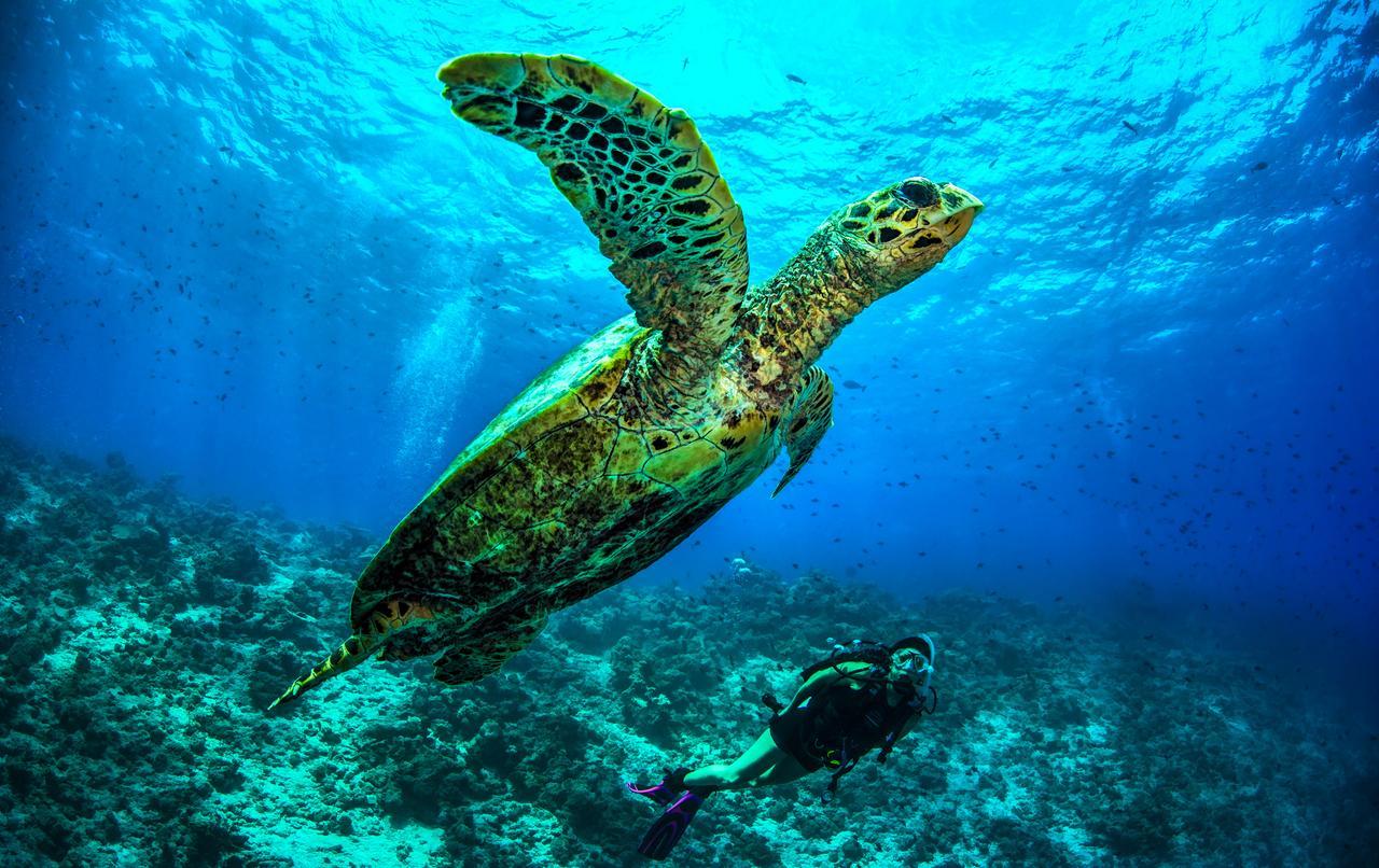 Dusit Thani Maldives Hotel Amilla Fushi Exterior photo